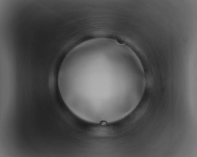 X0000100910448200807081127