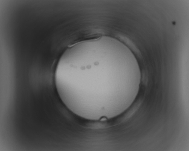 X0000100910449200807081127