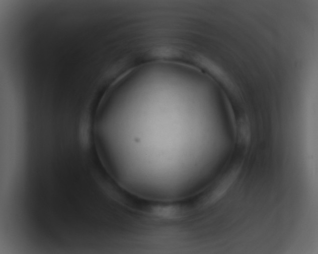 X0000100910450200807081128
