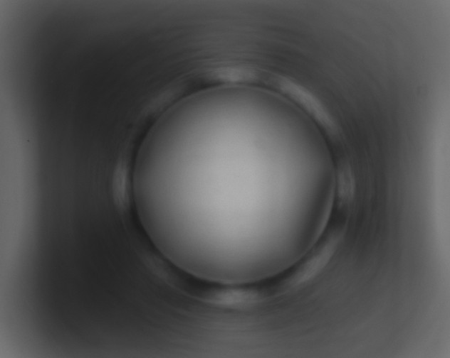 X0000100910453200807081128
