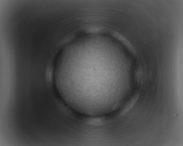 X0000100910454200807081128