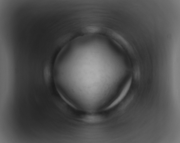 X0000100910455200807081128