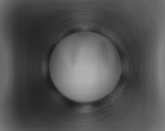 X0000100910456200807081128