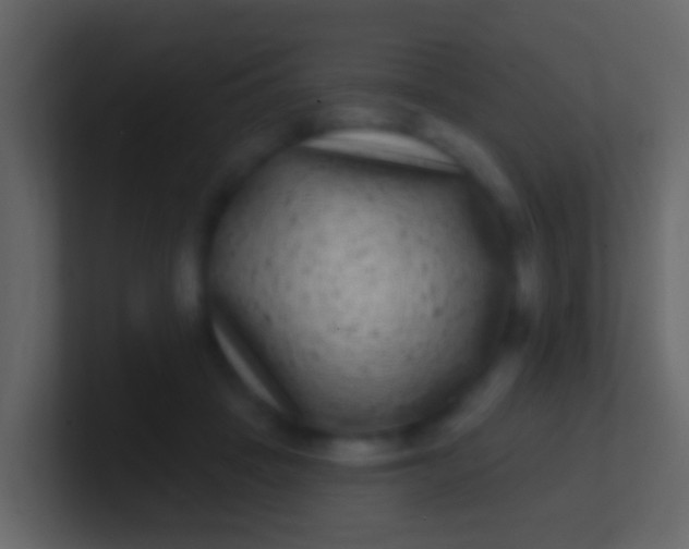 X0000100910457200807081128