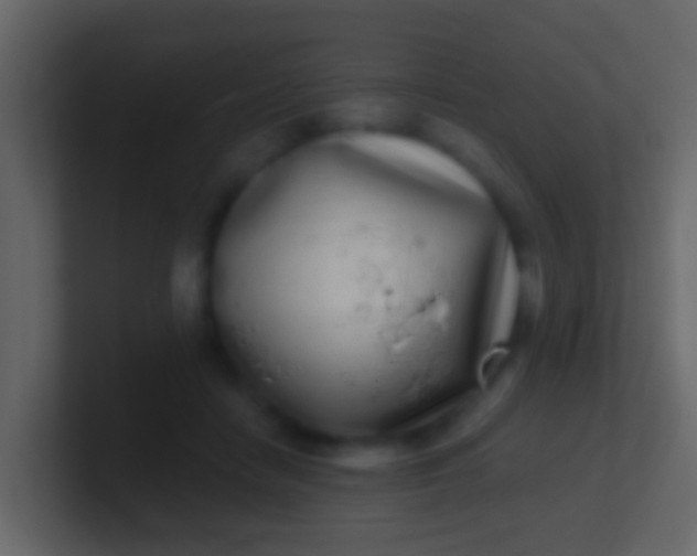 X0000100910458200807081128