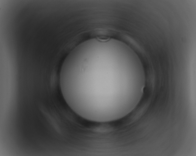 X0000100910459200807081128