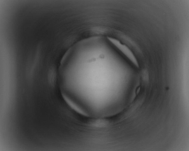 X0000100910463200807081128