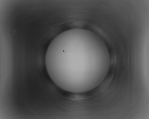 X0000100910464200807081128