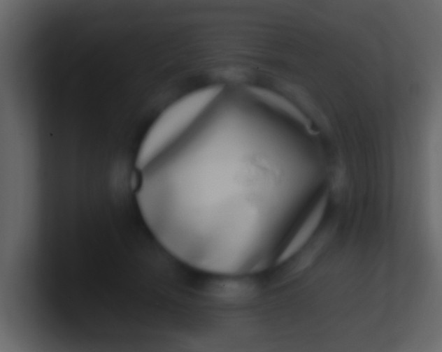 X0000100910466200807081128