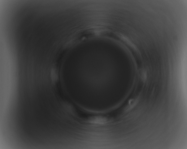 X0000100910471200807081128