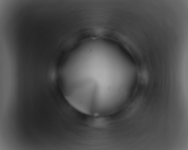 X0000100910472200807081128