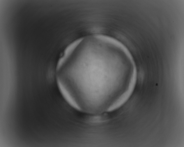 X0000100910473200807081128