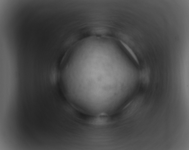 X0000100910474200807081128