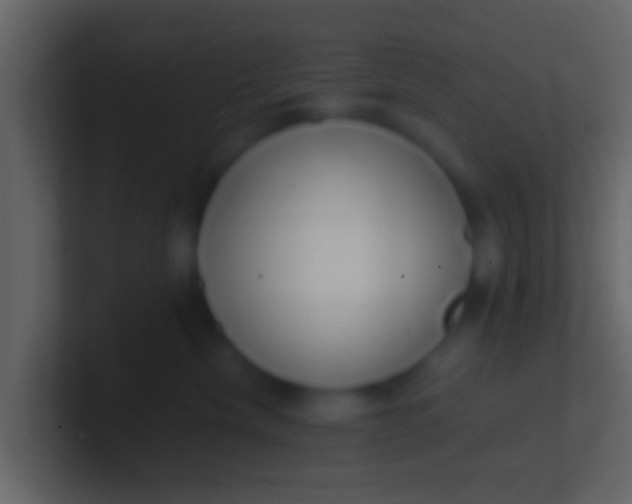 X0000100910476200807081128