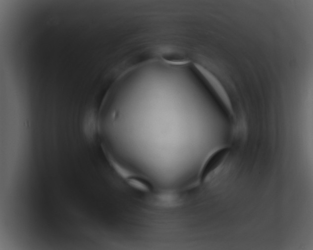 X0000100910478200807081128