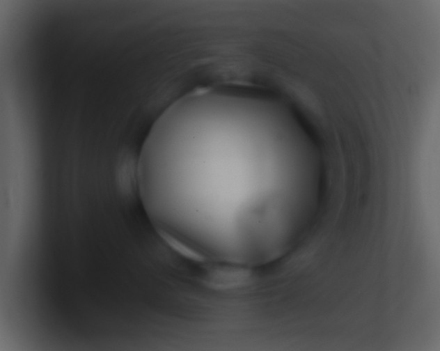 X0000100910480200807081128