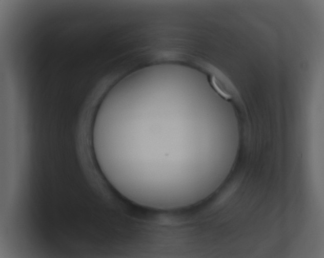 X0000100910481200807081127