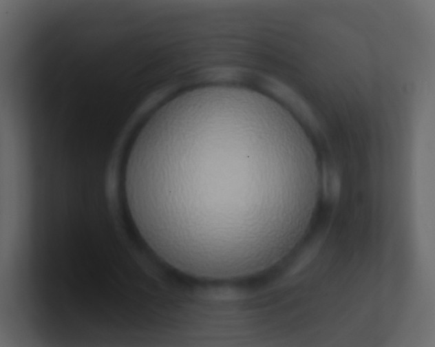 X0000100910483200807081127