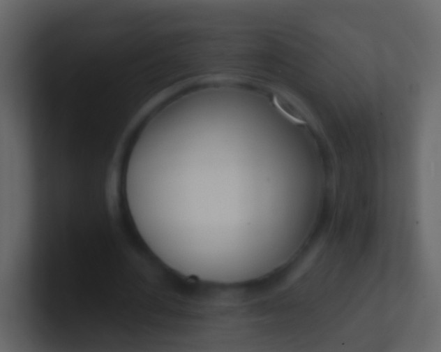 X0000100910484200807081127