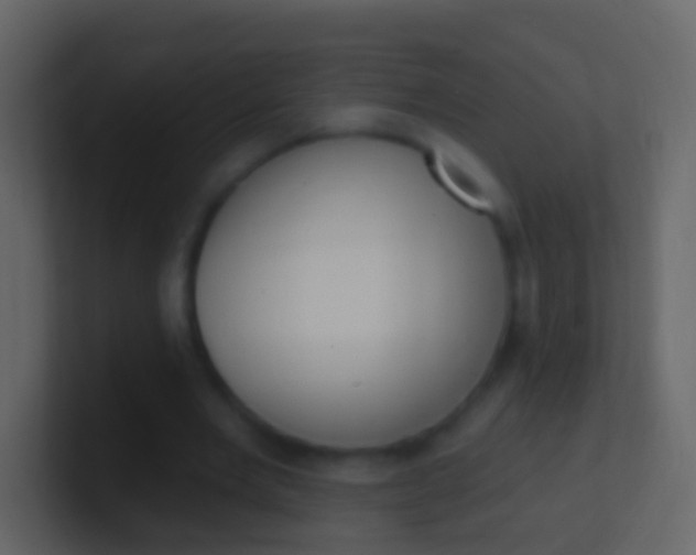 X0000100910485200807081127
