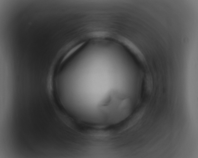 X0000100910486200807081127
