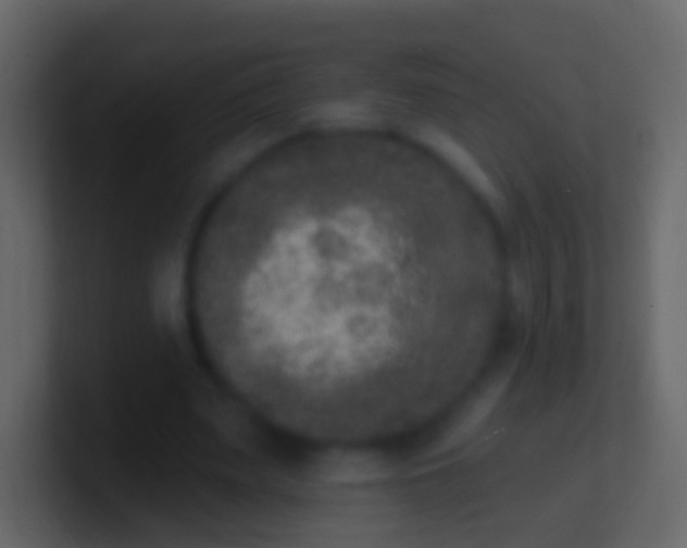 X0000100910487200807081127