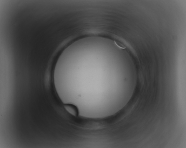 X0000100910488200807081127