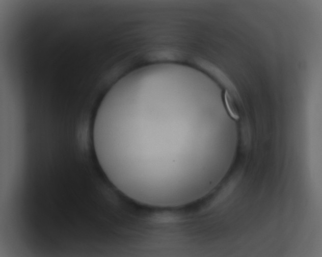 X0000100910489200807081127