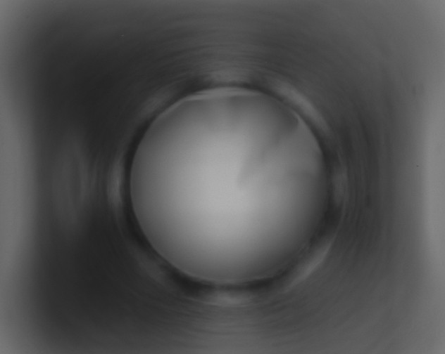 X0000100910490200807081127