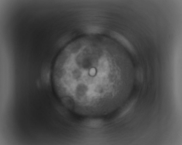 X0000100910491200807081127