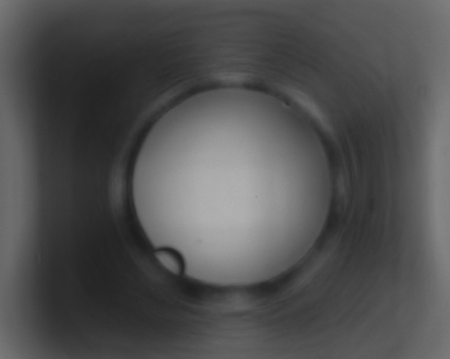 X0000100910492200807081127