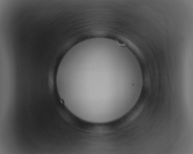 X0000100910493200807081127