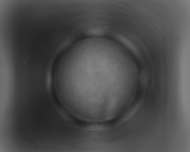 X0000100910494200807081127