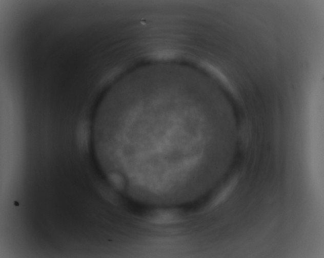 X0000100910495200807081127