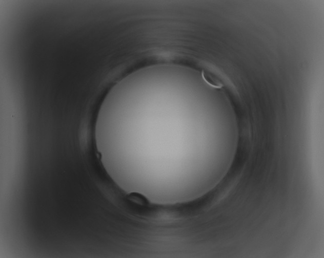 X0000100910496200807081127