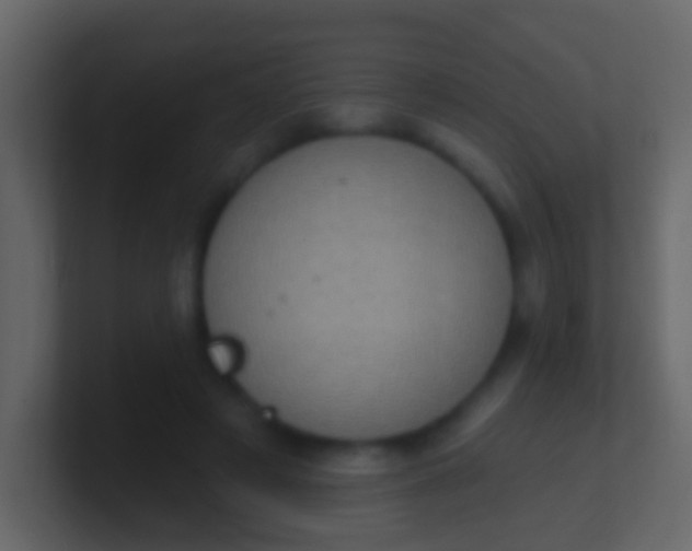 X0000100910497200807081127