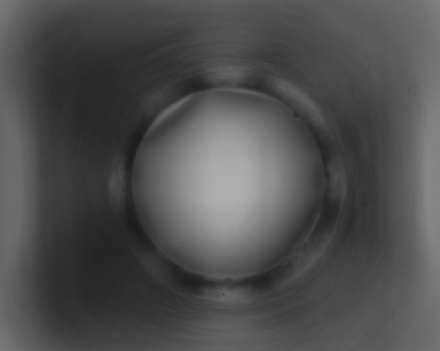 X0000100910498200807081127