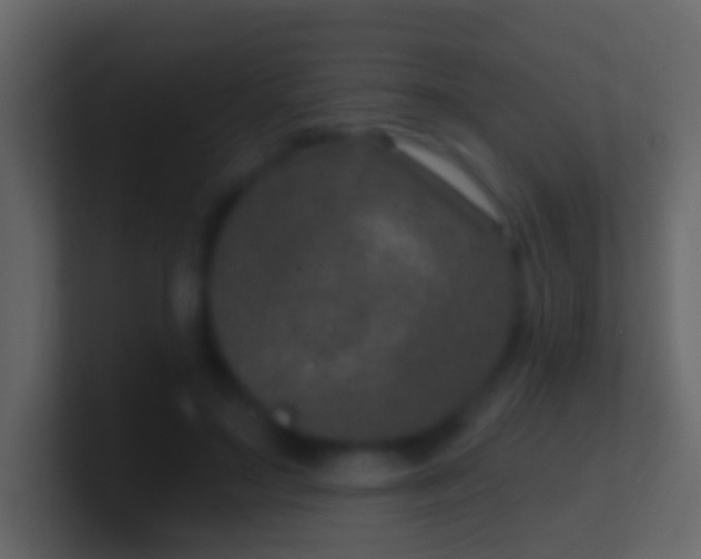X0000100910499200807081127