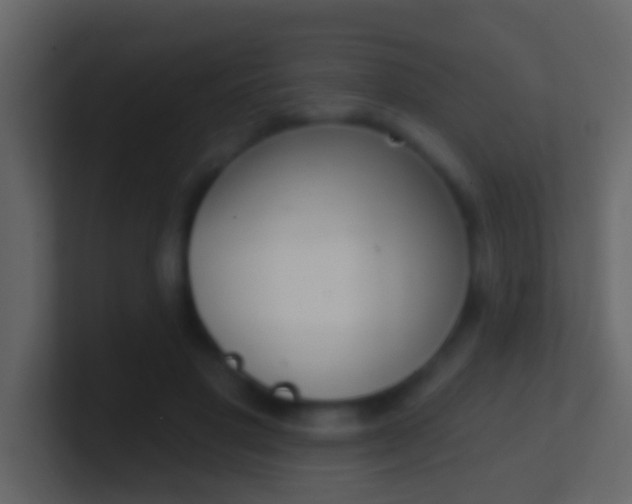 X0000100910501200807081127