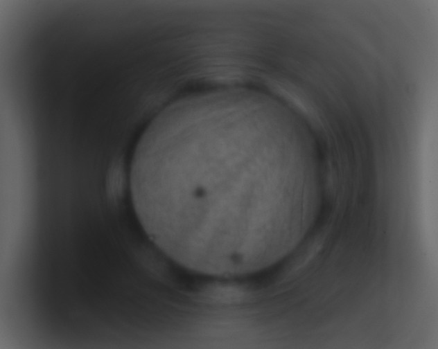X0000100910502200807081127
