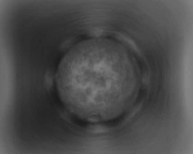 X0000100910503200807081127