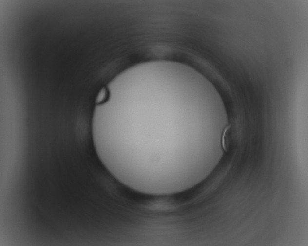 X0000100910505200807081127
