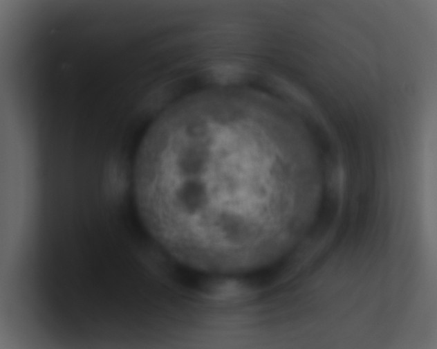 X0000100910507200807081127