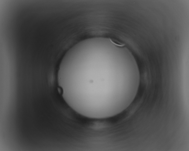 X0000100910508200807081127
