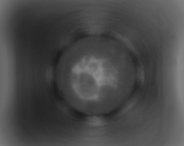 X0000100910511200807081127