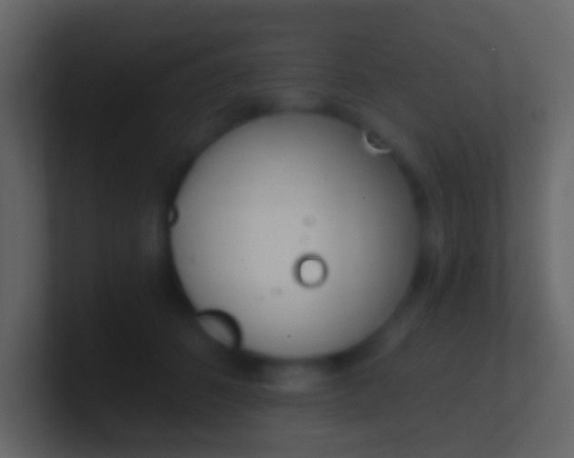 X0000100910512200807081127