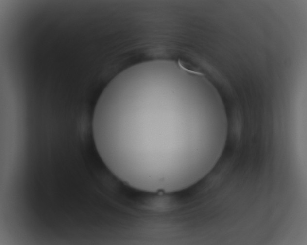 X0000100910513200807081127