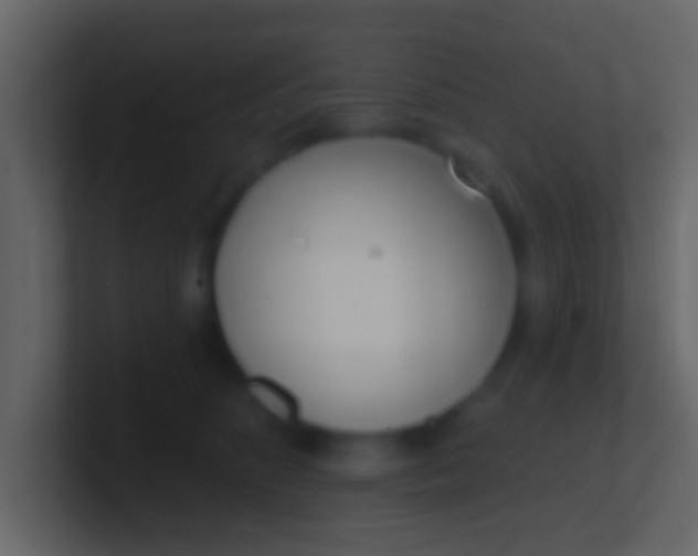 X0000100910516200807081127