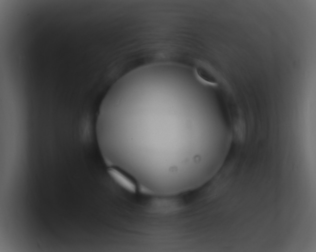 X0000100910520200807081127