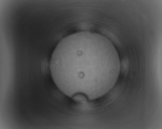 X0000100910522200807081127